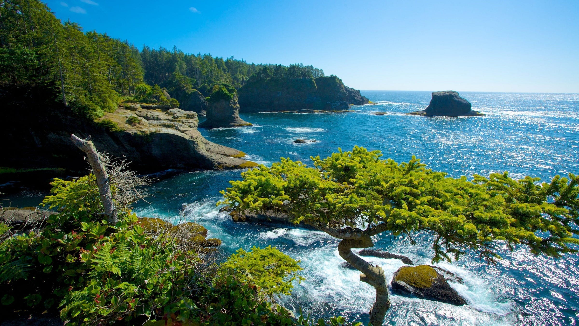 Visit Washington: 2026 Travel Guide for Washington, United States of  America | Expedia