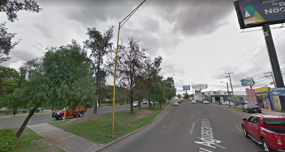 arboles derribados en aguascalientes por paso a desnivel arboles derribados en aguascalientes por paso a desnivel