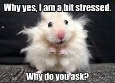 How to deal with work stress How to deal with work stress