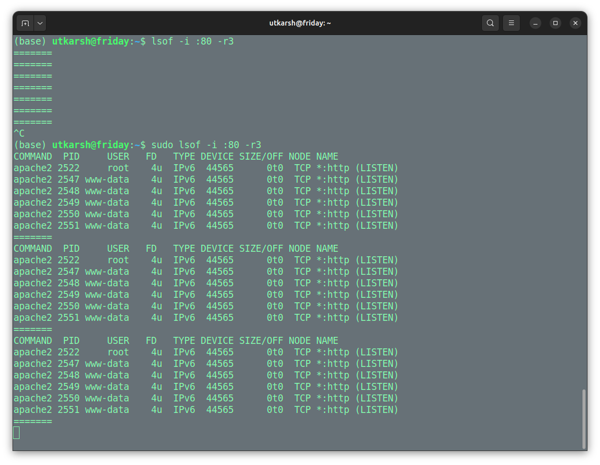 The lsof command in Linux - The Coding Gopher