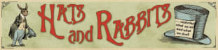 Hats and Rabbits: What We See and What We Don't