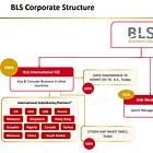 BLS International FY25 Results: PAT up 66%, Momentum to Sustain in FY26