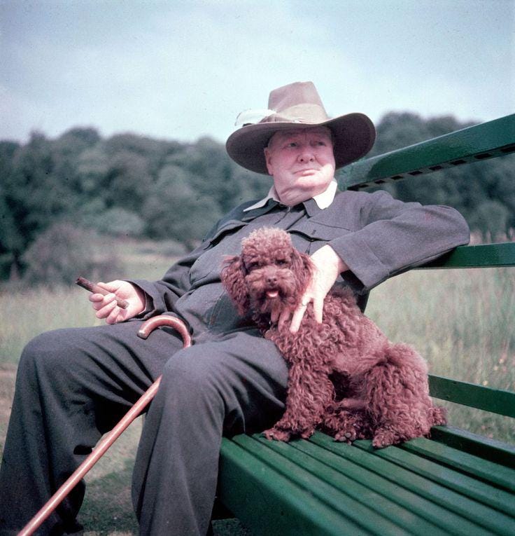 Sir Winston Churchill whit his poodle rufus,1946 Sir Winston Churchill whit his poodle rufus,1946