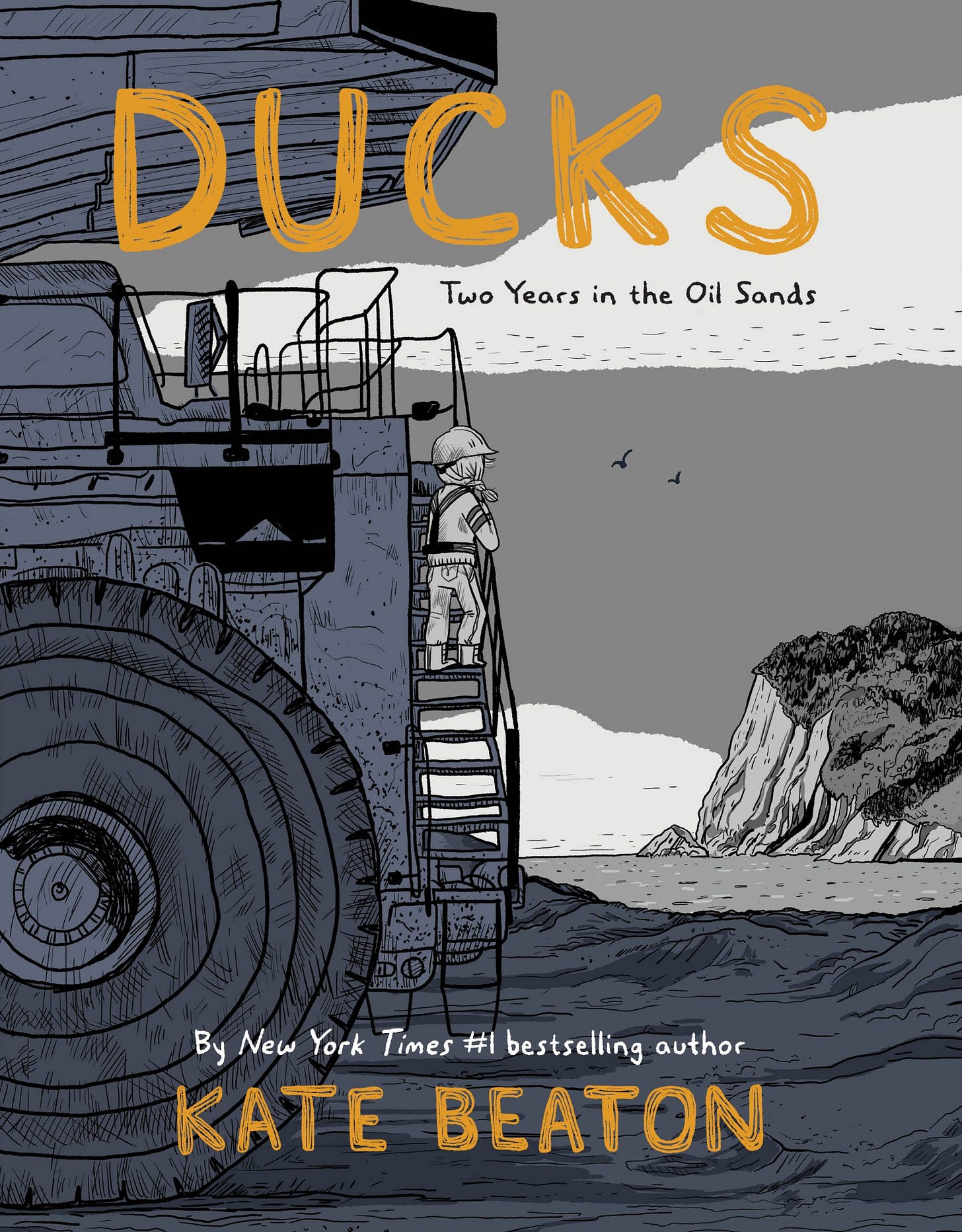DUCKSの書影