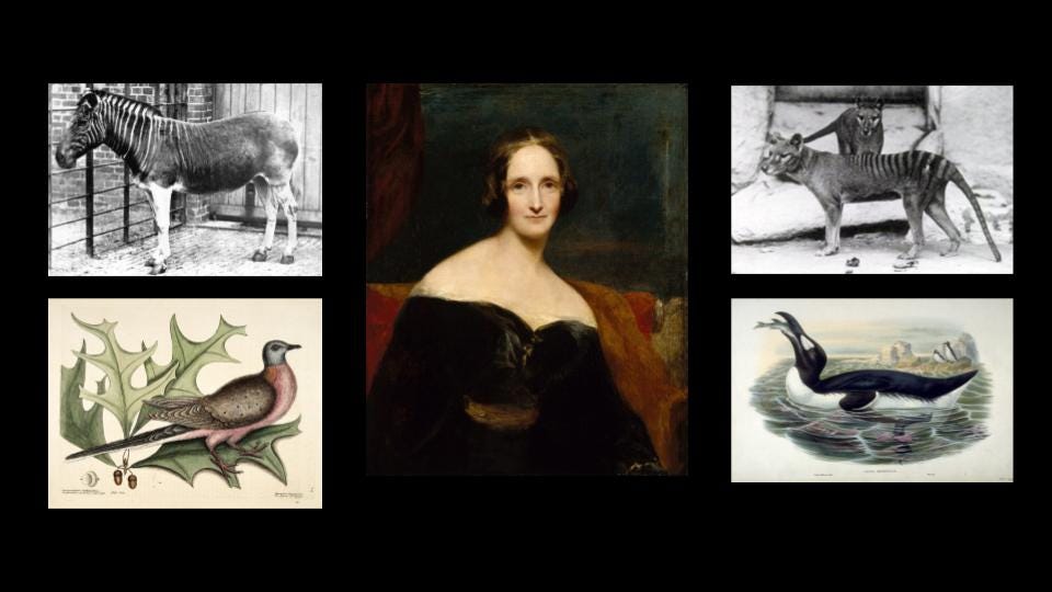 S02E19 - Frankenstein's Author & Real Extinct Beasts: Animals Mary Shelley Might Have Encountered!