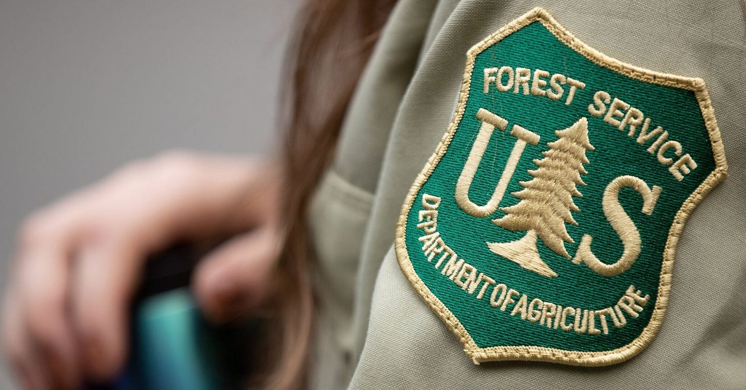 Trump's Forest Service firings killed dreams, left big holes to fill in WA  | The Seattle Times