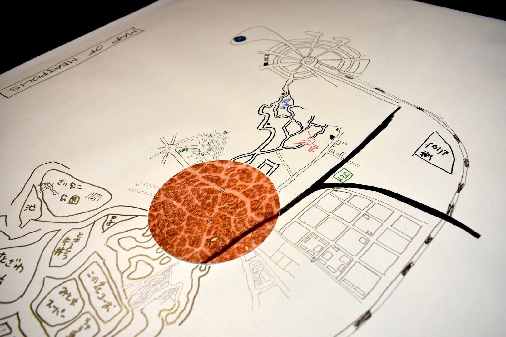 地図は、どうして地図に見えるの？：空想が照らし出すリアル