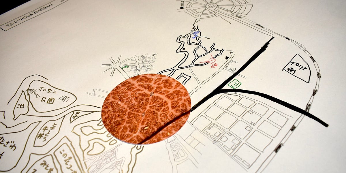 アースワークの地平 環境芸術から都市空間まで アースワークの地平｜ジョン・バーズレイ | コ本や ONLINE SHOP