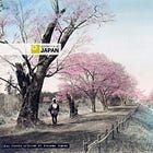 Tokyo, 1890s • Shinjuku's Lost Paradise (2)