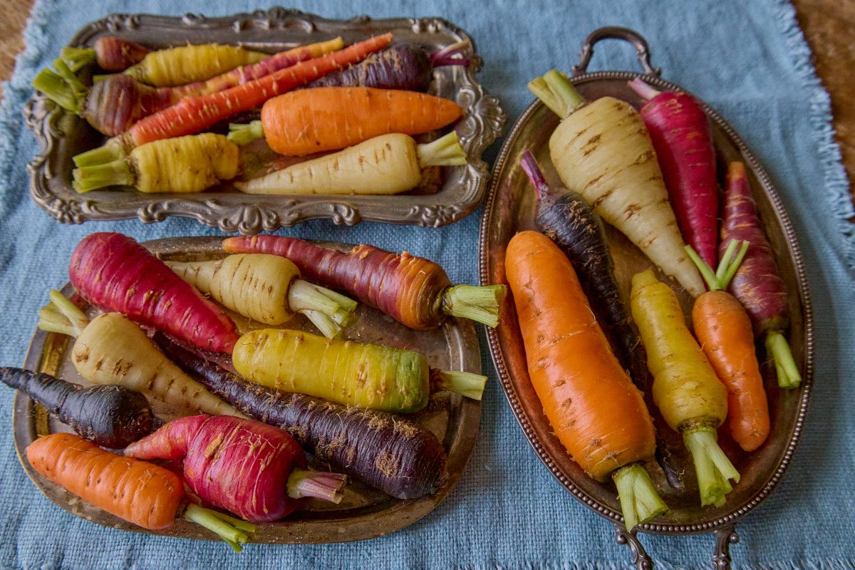 a variety of multicolored carrots