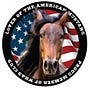 WildAbtHorses's avatar
