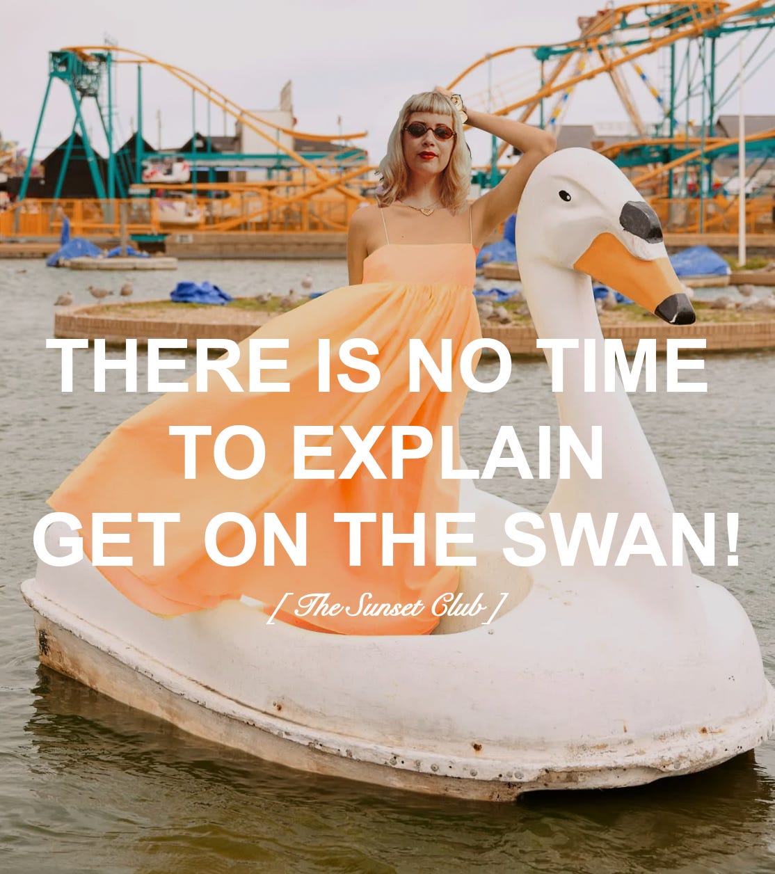 The Art of Swans - The Sunset Club, image size:1114x1256