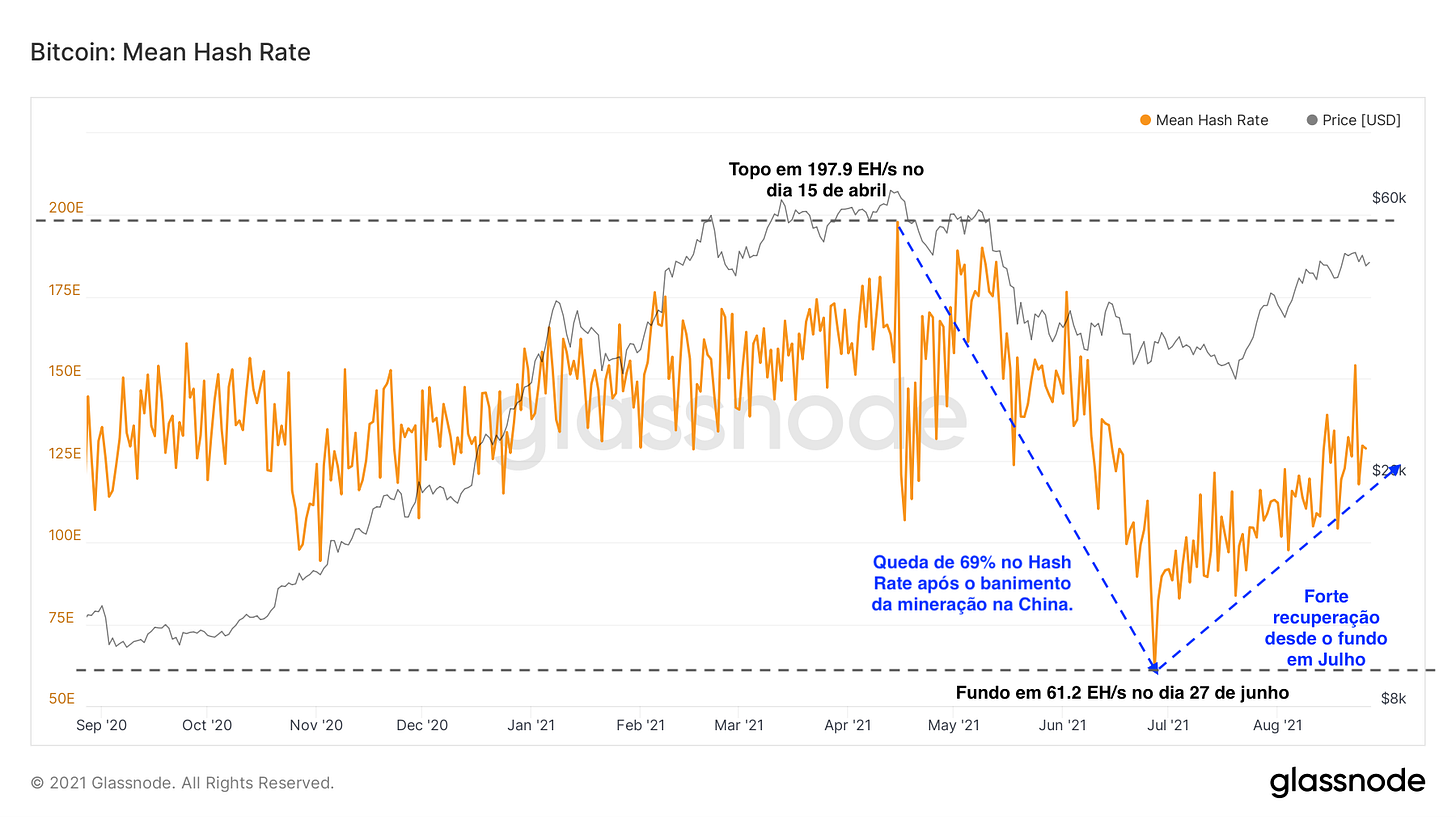 Edição I - Análise da semana [20/08 - 27/08 ]