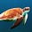 Turtle Money Circle's avatar