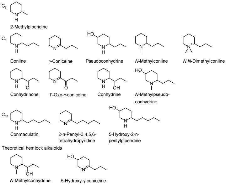 An external file that holds a picture, illustration, etc.
Object name is molecules-22-01962-g001.jpg