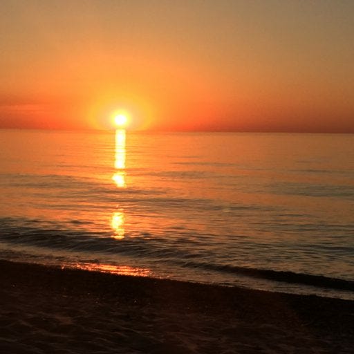 Reflections on the Run by Nancy Scannell