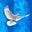 John Rollinson's avatar
