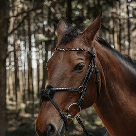 How Test Driven Development accelerates AI coding