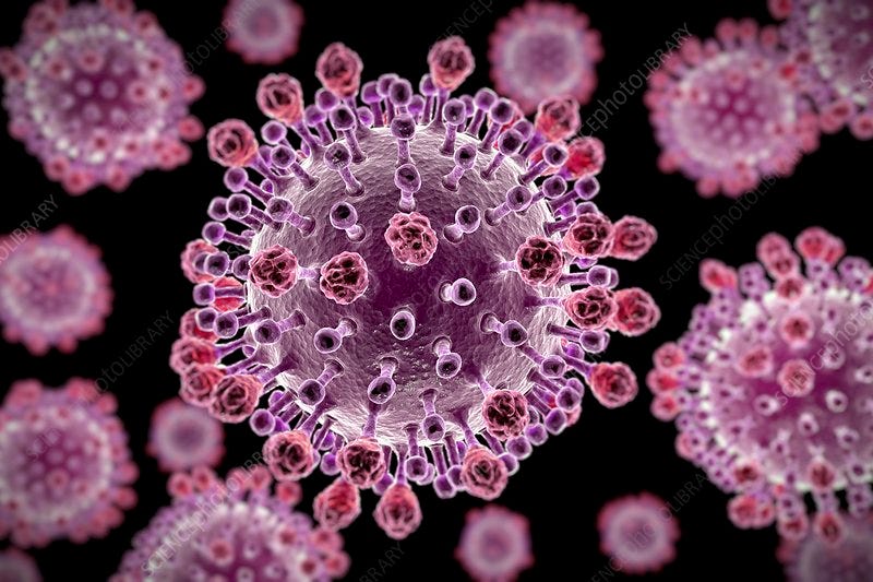 H1N1 Swine Influenza Virus Particles - Stock Image - C020/2880 - Science  Photo Library