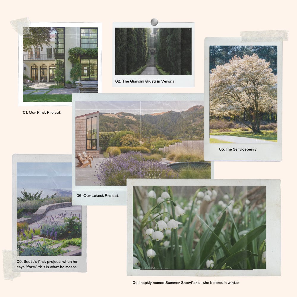 Gardens & Landscape - by Chloe Warner - RAD MINIMAG