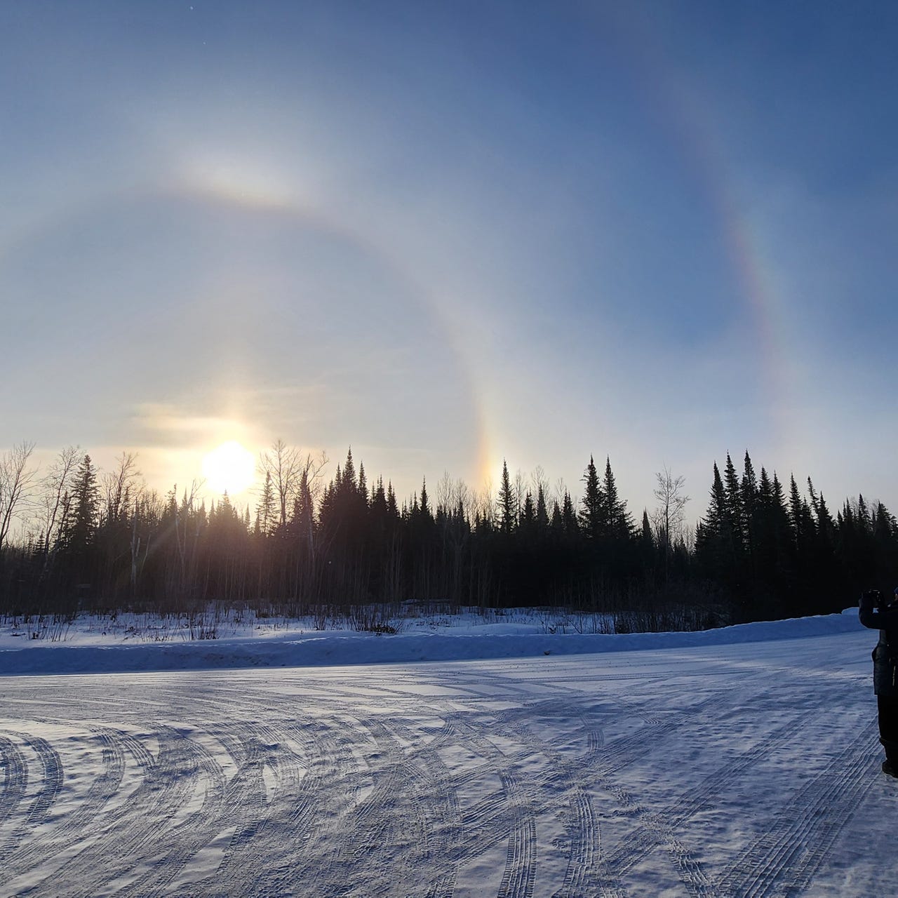 Conservation Lady’s Substack