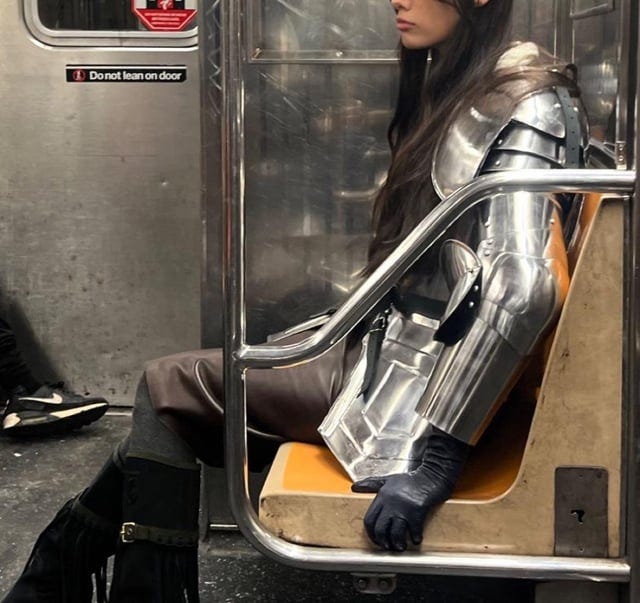 r/SubwayCreatures - Good knight