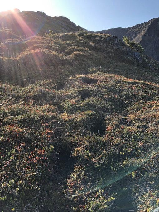 Footprint path worn into a mountain ridge by bears. Footprint path worn into a mountain ridge by bears.