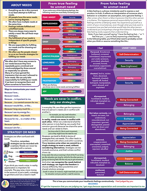 Infographics for Despcriptions of Needs and Feelings.