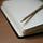 My Writing Journey