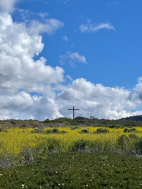 Pacific Grove by Sabrina Simpson