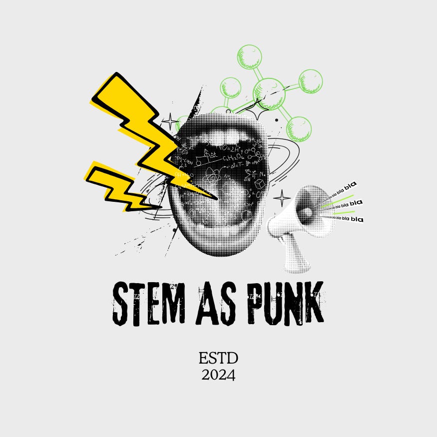 STEM as PUNK