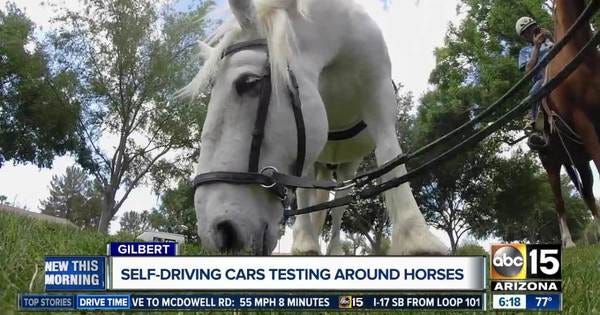 Horsin' around. Horsin' around.
