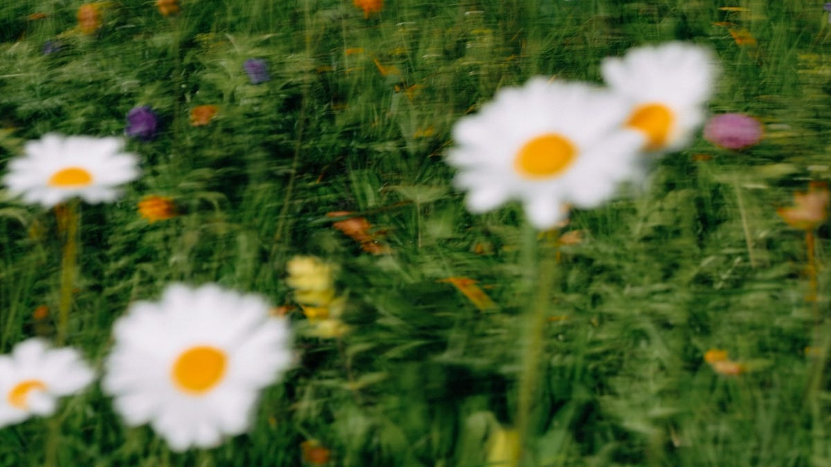 Thumbnail of Instagram is betting on the momentum, not the reaction