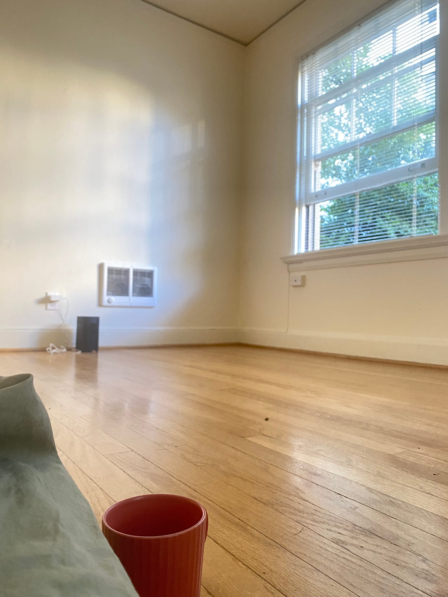 photo of a small studio in Portland, hardwood floors, open window looking at a tree outside.