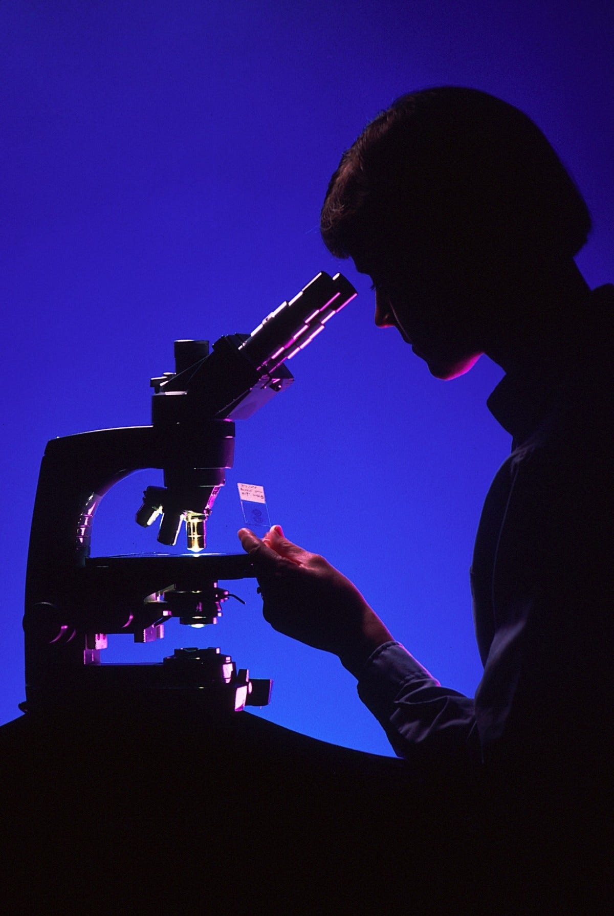 working, silhouette, music, light, woman, guitar, female, concert, color, biology, darkness, blue, musician, black, science, stage, performance, singing, laboratory, slide, guitarist, silhouettes, specimen, lab, medical, examination, scientist with microscope, atmosphere of earth