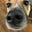 AngieFM's avatar