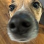 AngieFM's avatar