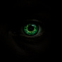 The Inhabitant's avatar