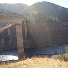 Missing: Parrots Ferry Jane