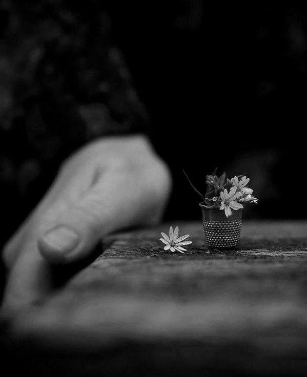 May be a black-and-white image of ring and flower
