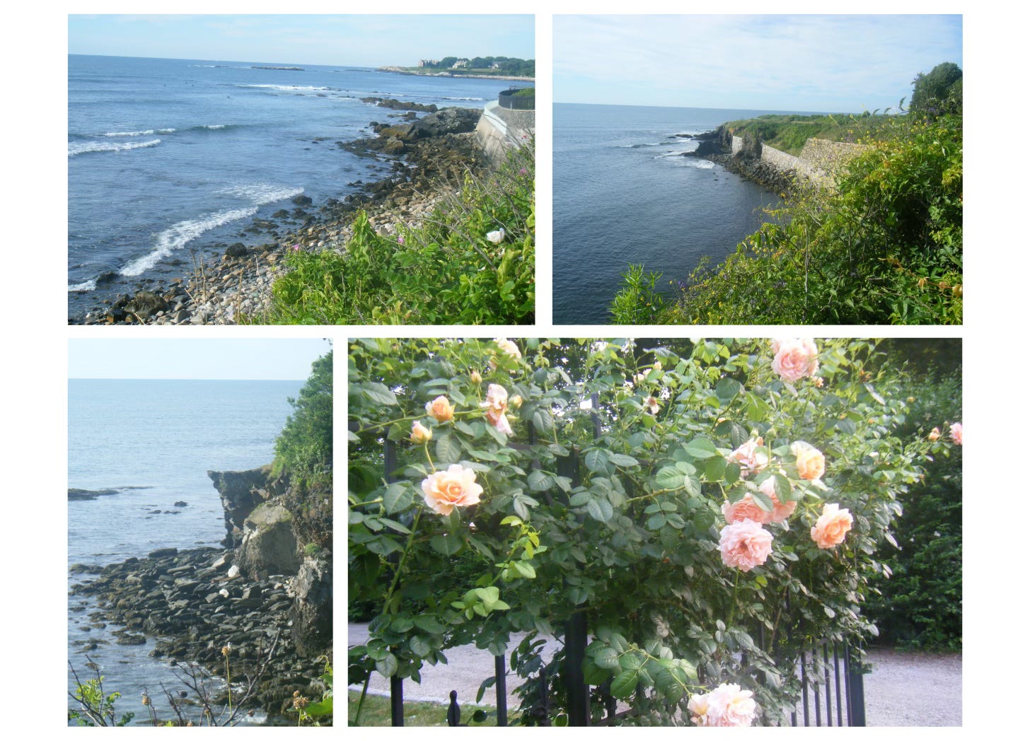 photos of landscape and flowers