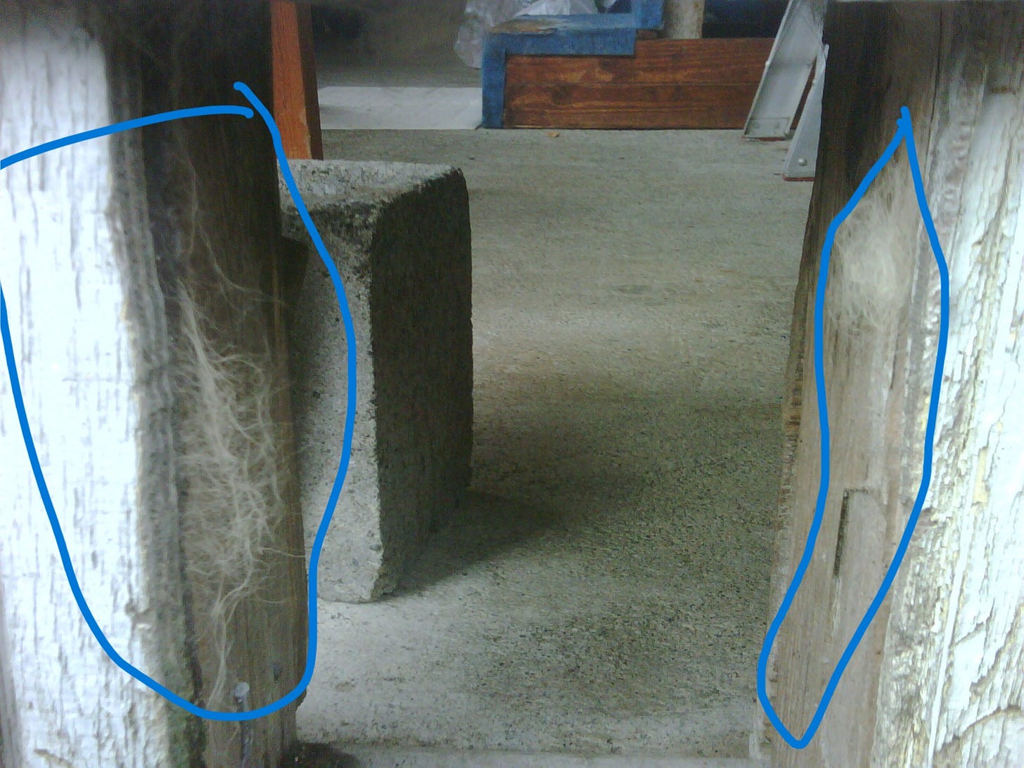 Photo of opening to a basement with cat hair fibers on either side of the entrance Photo of opening to a basement with cat hair fibers on either side of the entrance