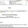 Angelika’s Newsletter
