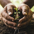 The Gift Hidden in Your Climate Awareness