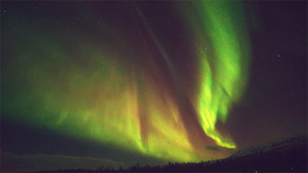 Perfect Loops, Looping Videos/Looping GIFs