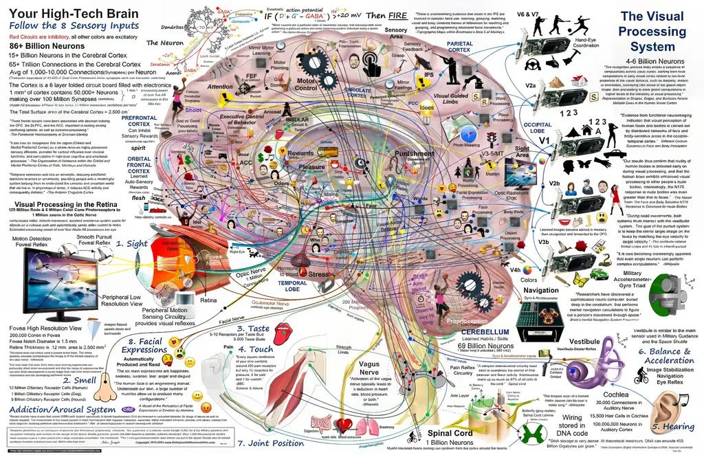 high-tech brain