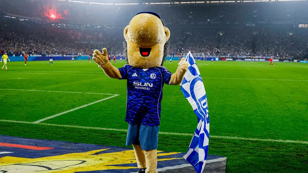 Party in Gelsenkirchen: Die Bilder zum Schalker Aufstieg | sportschau.de