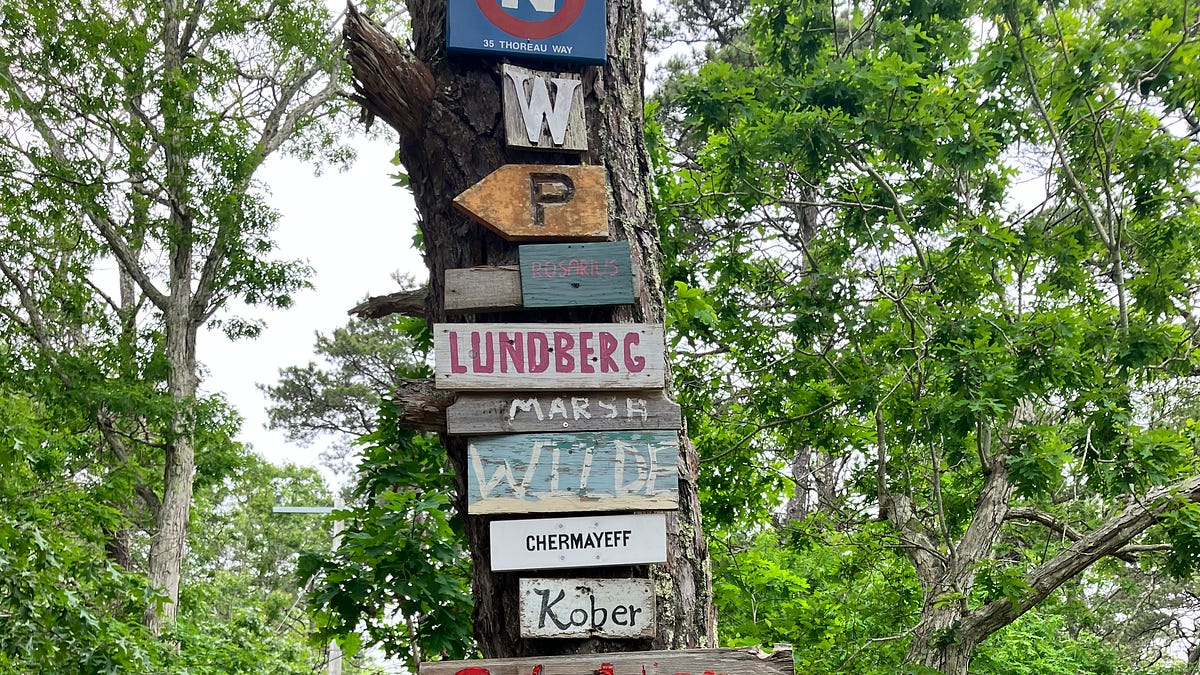 Slow and Low in Cape Cod - by Brooks Reitz