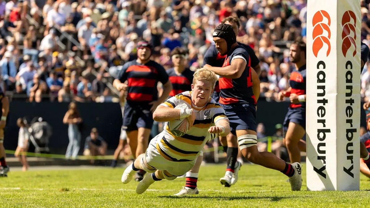 No.1 Cal Rugby hosts BYU in postseason 2nd round this Saturday