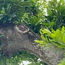 サト愛の自由人生実験コラム